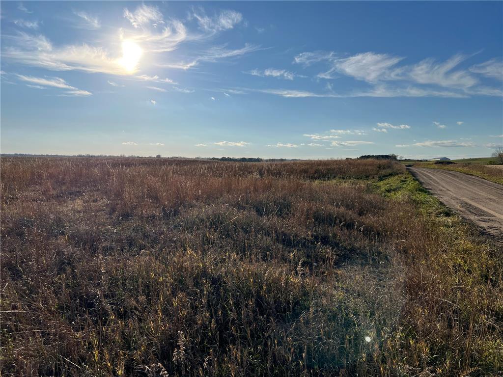 440 90th Avenue NE Benson MN 56215 6818729 image5