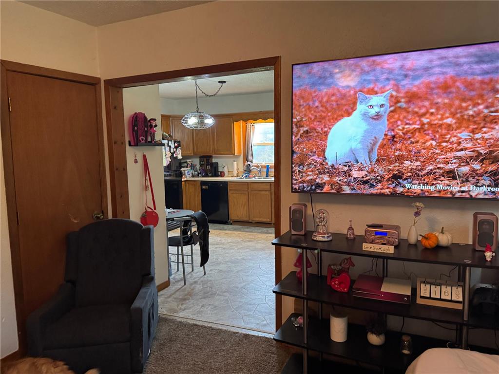 440 Cleveland Avenue SW Mcintosh MN 56556 6805772 image8