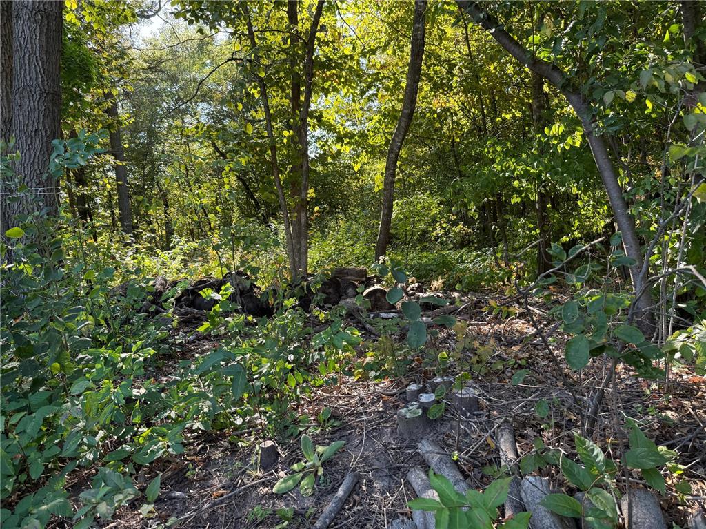 44015 100th Avenue Brockway Twp MN 56340 6693152 image13