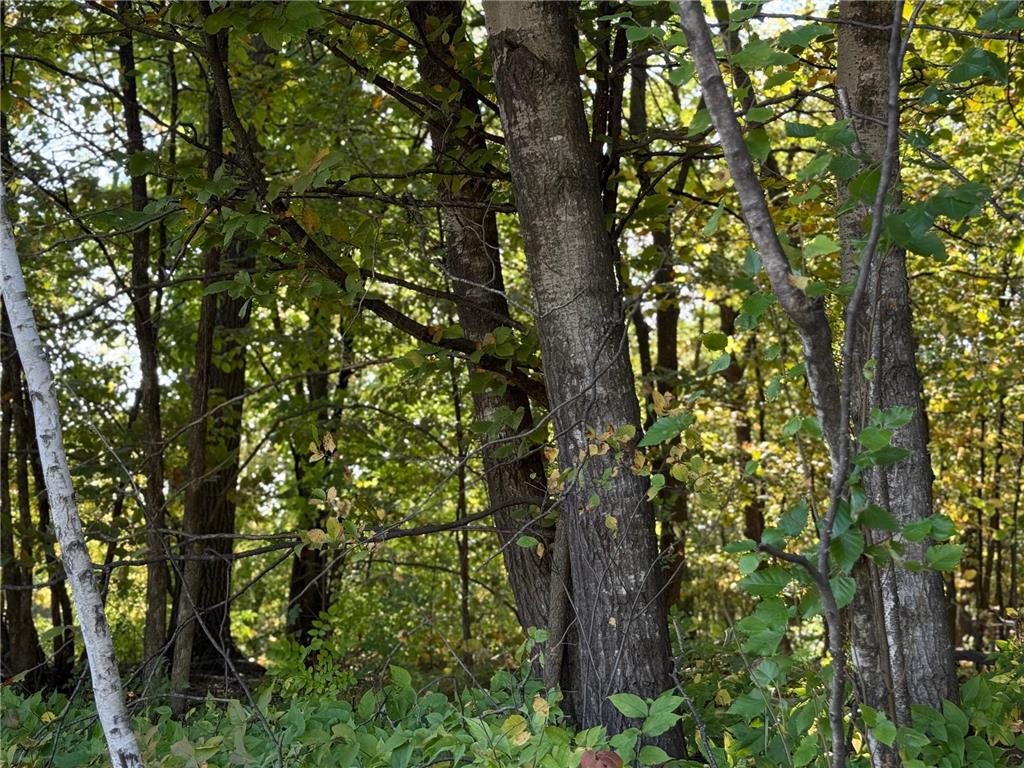 44015 100th Avenue Brockway Twp MN 56340 6693152 image16