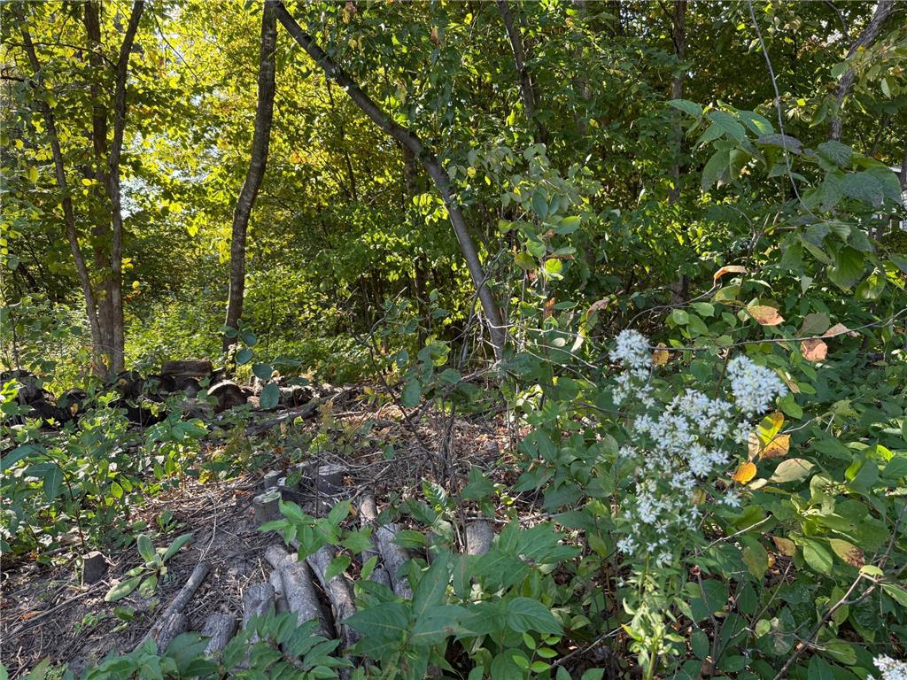 44015 100th Avenue Brockway Twp MN 56340 7044677 image12