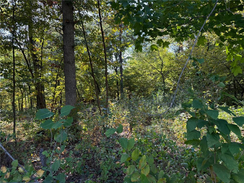44015 100th Avenue Brockway Twp MN 56340 7044677 image14