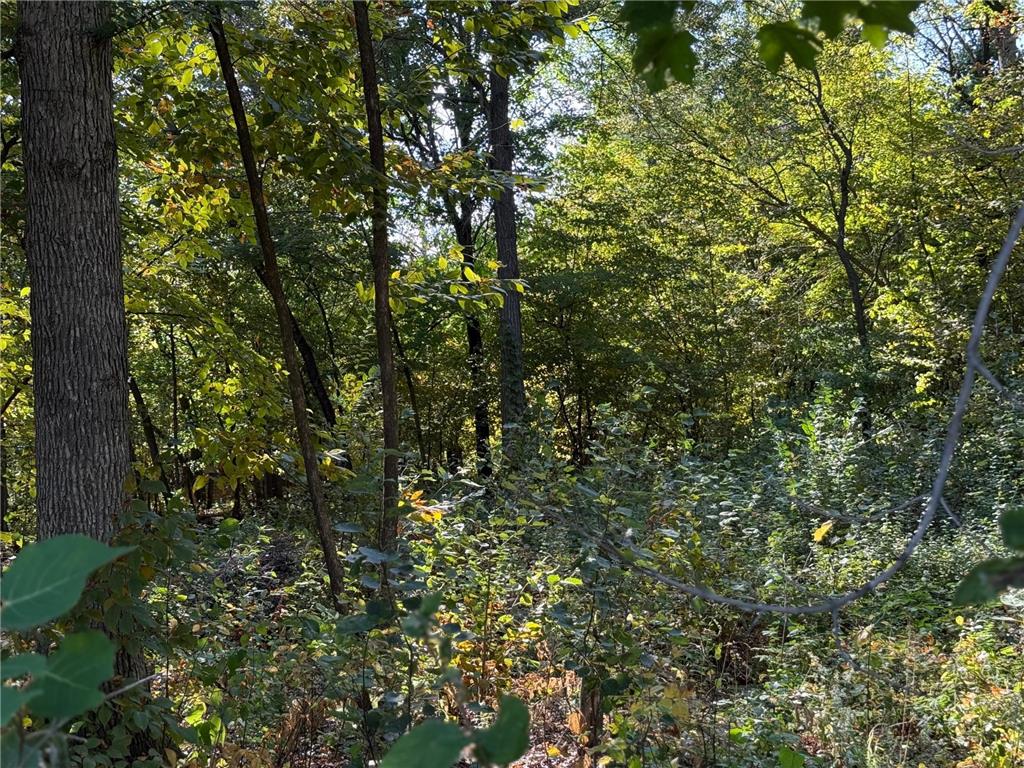 44015 100th Avenue Brockway Twp MN 56340 7044677 image15