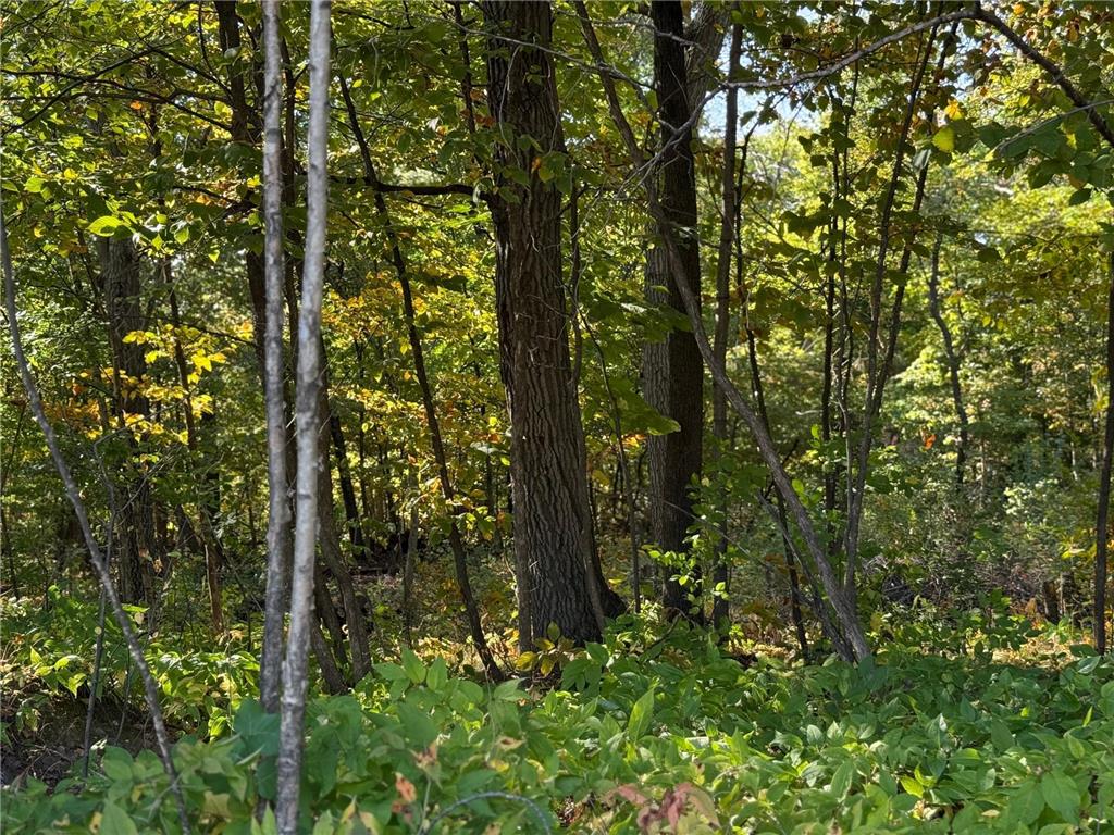 44015 100th Avenue Brockway Twp MN 56340 7044677 image17
