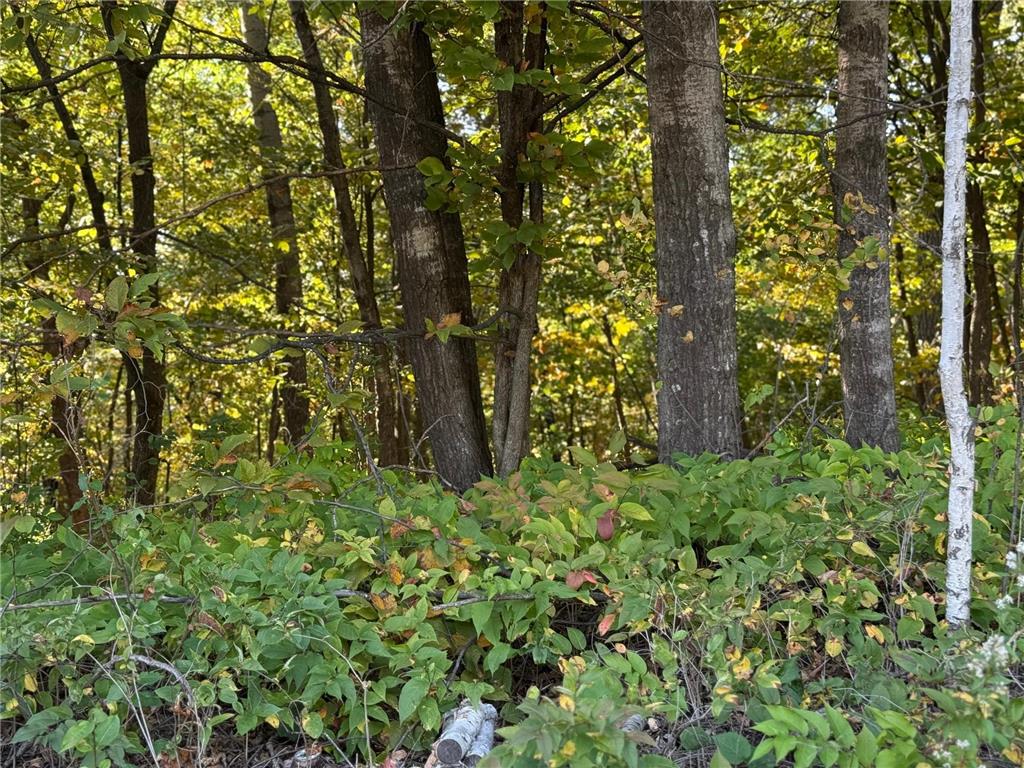 44015 100th Avenue Brockway Twp MN 56340 7044677 image18