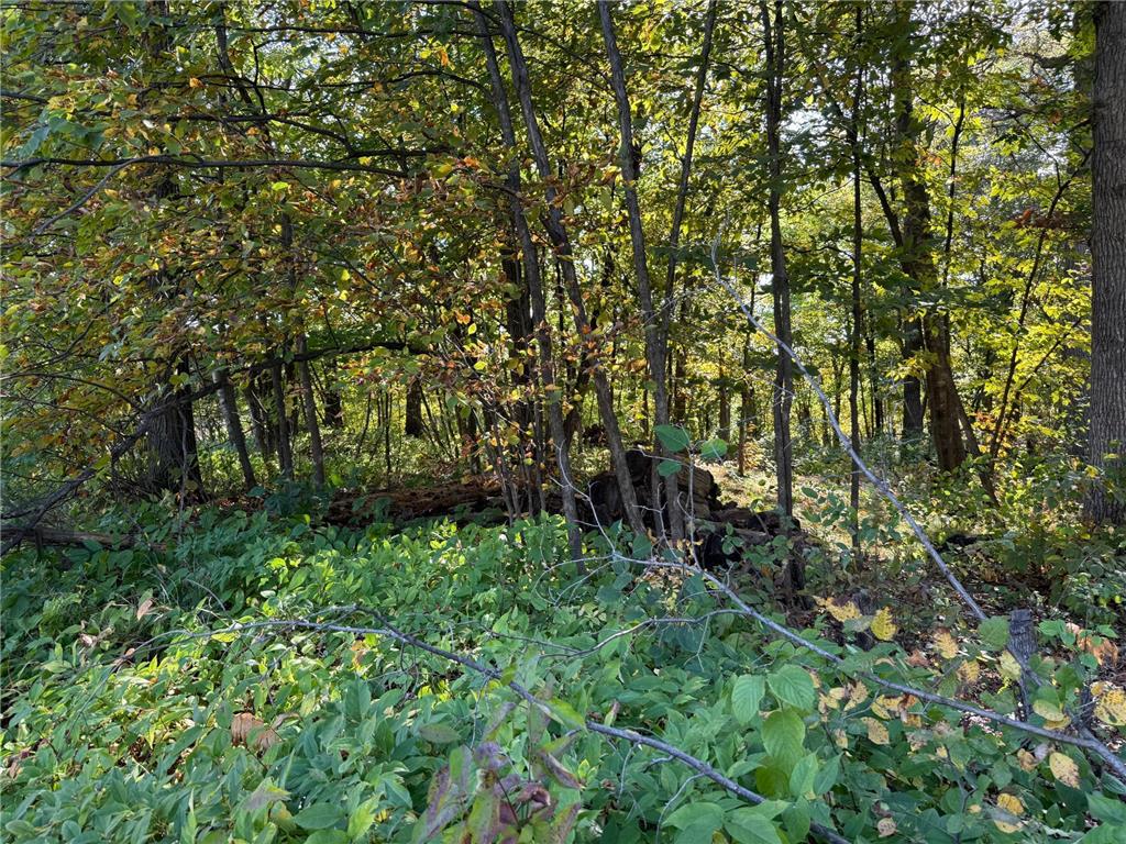 44015 100th Avenue Brockway Twp MN 56340 7044677 image19