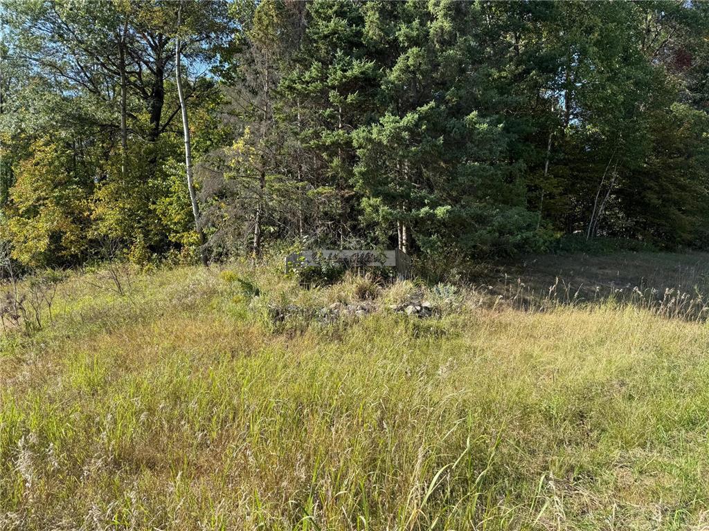 44015 100th Avenue Brockway Twp MN 56340 7044677 image2