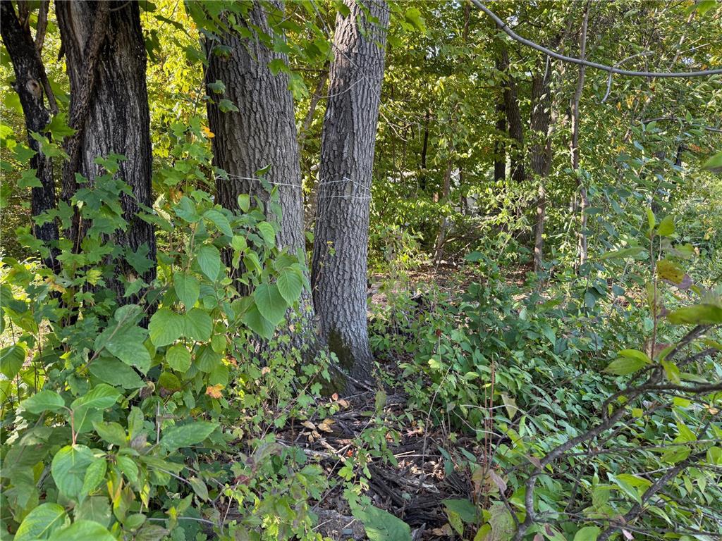 44015 100th Avenue Brockway Twp MN 56340 7044677 image20