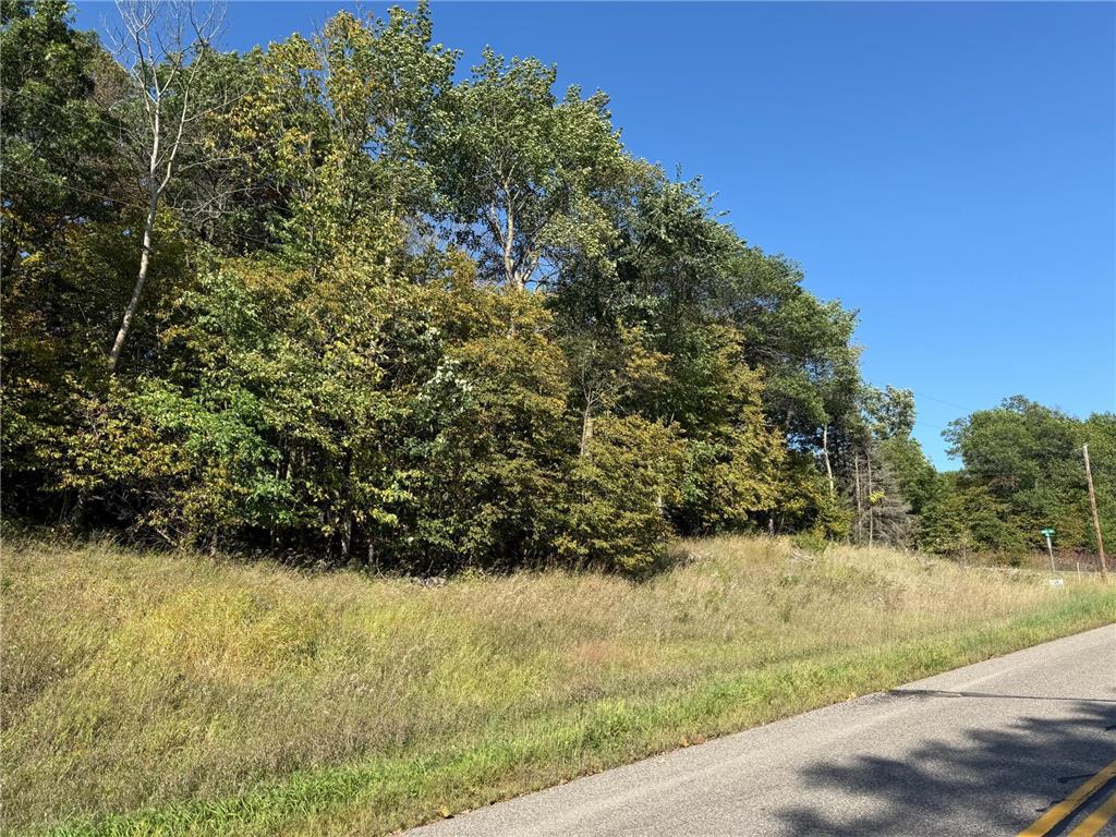 44015 100th Avenue Brockway Twp MN 56340 7044677 image8