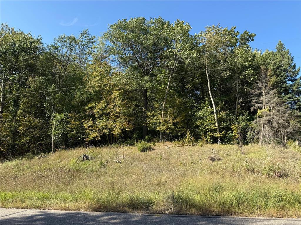 44015 100th Avenue Brockway Twp MN 56340 7044677 image9