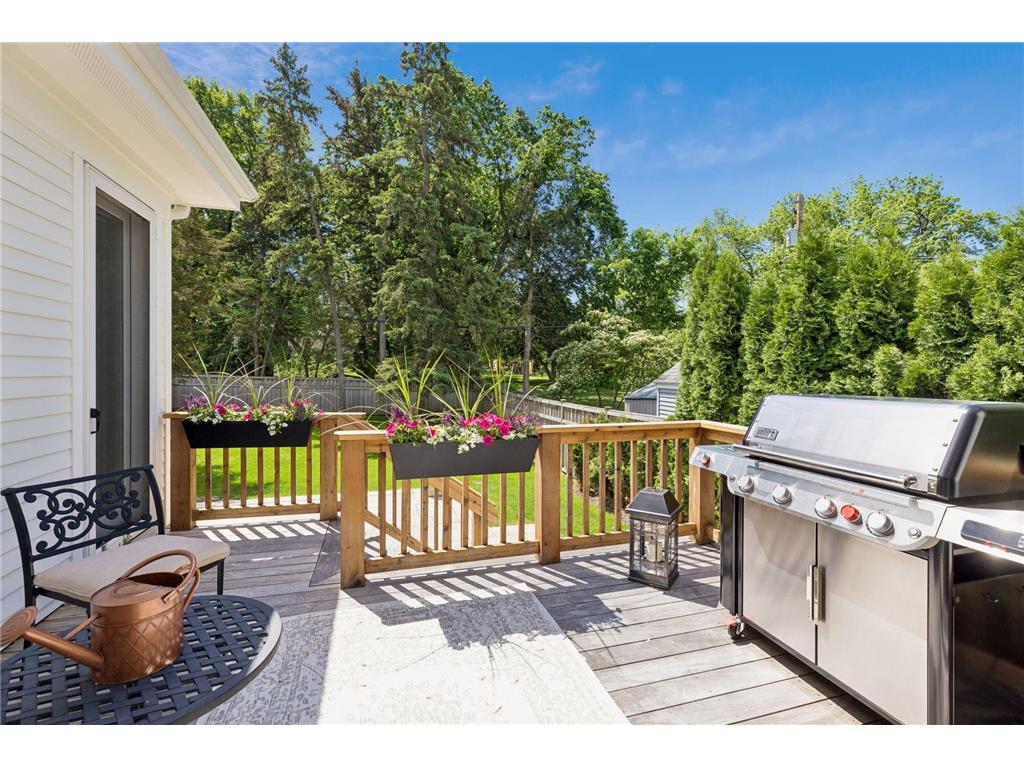 4403 Branson Street Edina MN 55424 7080821 image27