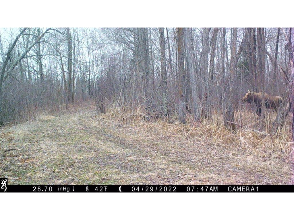 44047 Little Pine Road Emily MN 56447 - Little Pine Lake 7052920 image75