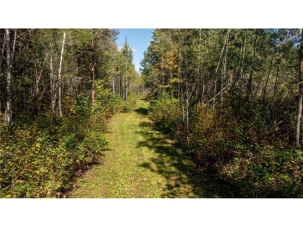 44047 Little Pine Road Emily MN 56447 - Little Pine Lake 7052920 image8