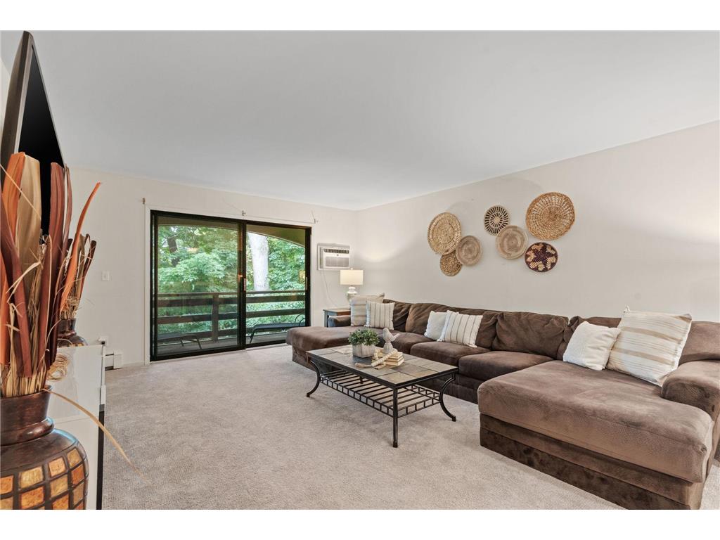 4407 Wilshire Boulevard #305 Mound MN 55364 - Lake Minnetonka 7087527 image10