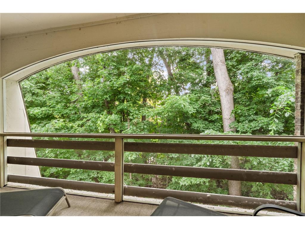 4407 Wilshire Boulevard #305 Mound MN 55364 - Lake Minnetonka 7087527 image12