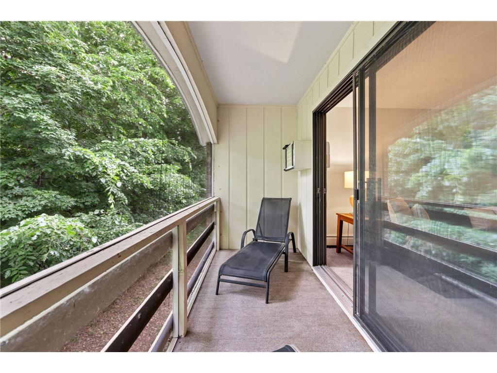 4407 Wilshire Boulevard #305 Mound MN 55364 - Lake Minnetonka 7087527 image13
