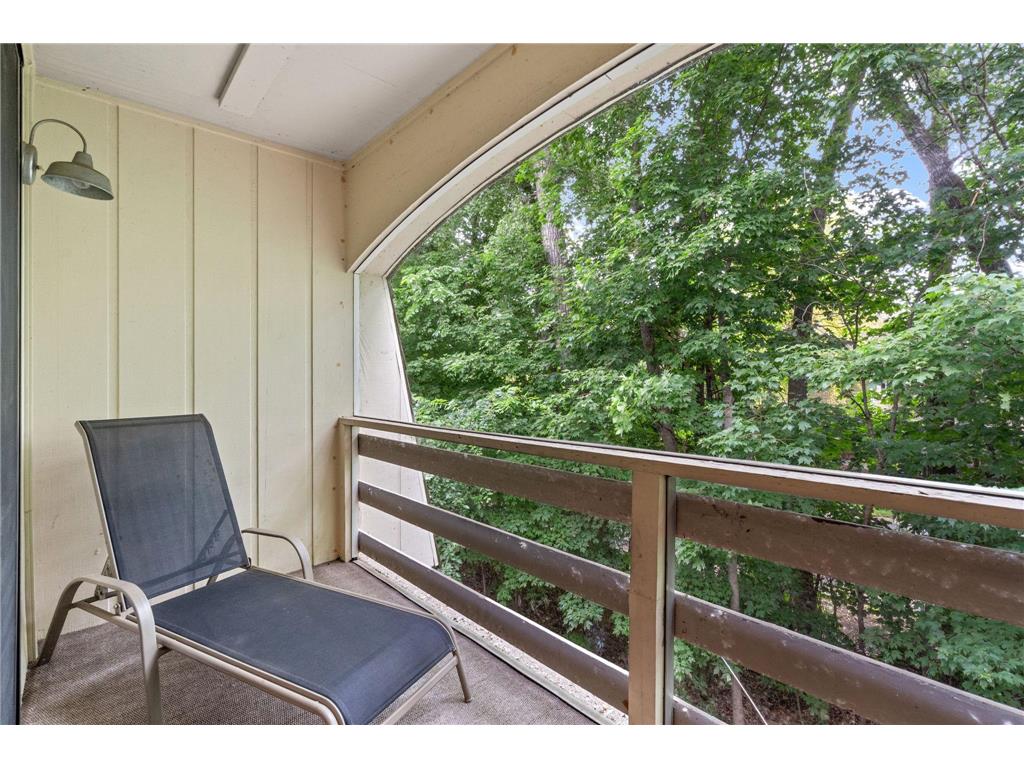 4407 Wilshire Boulevard #305 Mound MN 55364 - Lake Minnetonka 7087527 image14