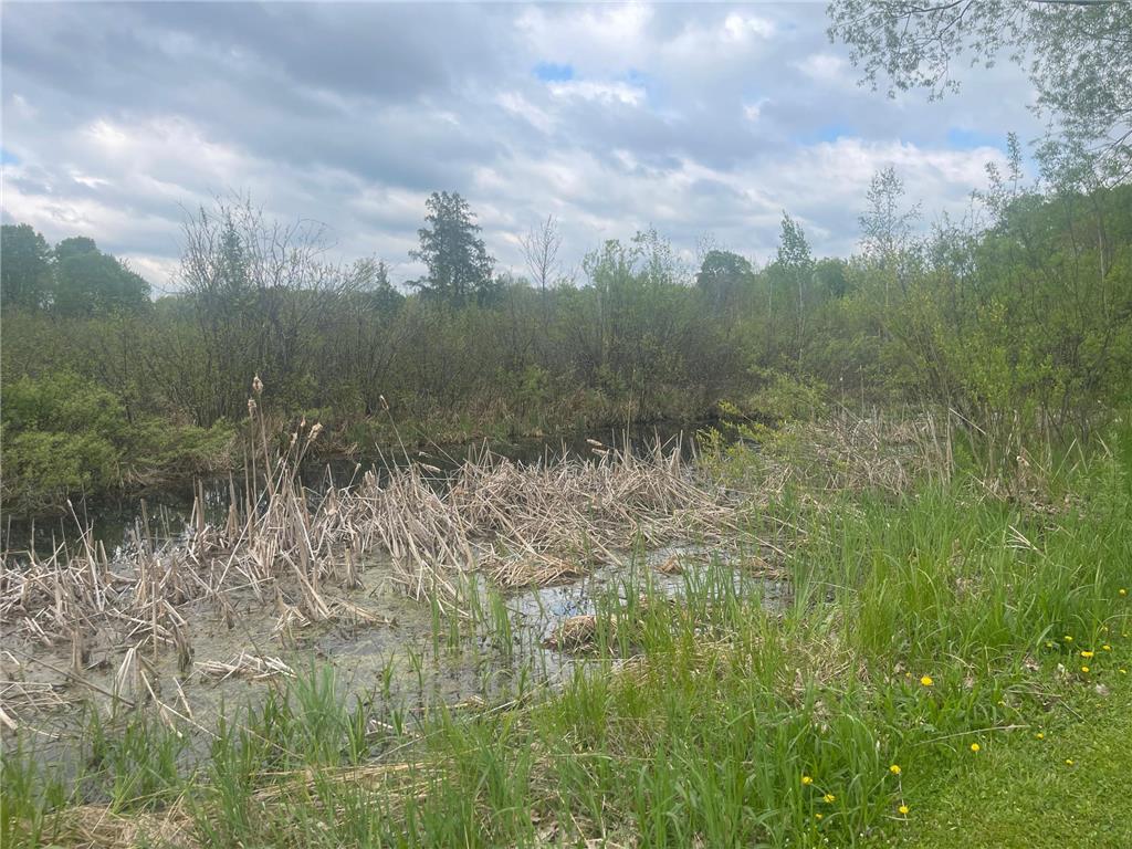 44091 Duxbury Road Sandstone MN 55072 7079978 image36