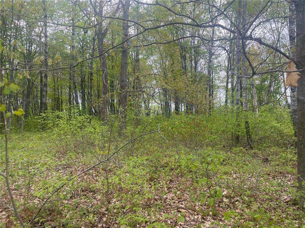 44091 Duxbury Road Sandstone MN 55072 7079978 image37