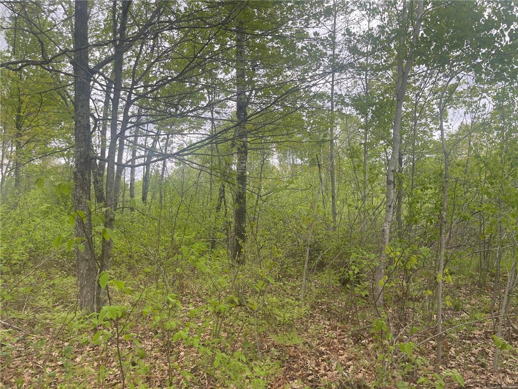 44091 Duxbury Road Sandstone MN 55072 7079978 image38