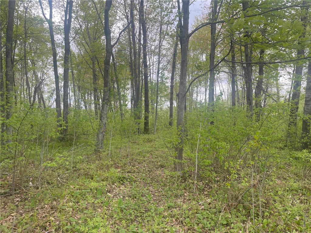 44091 Duxbury Road Sandstone MN 55072 7079978 image39