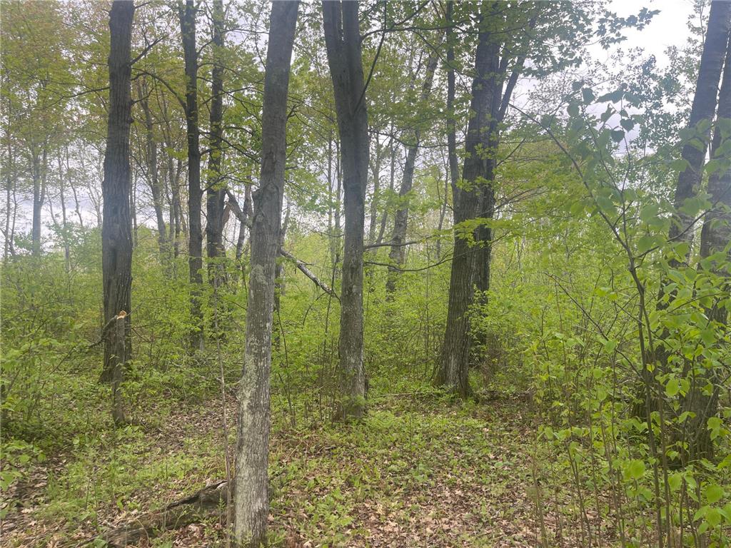 44091 Duxbury Road Sandstone MN 55072 7079978 image40
