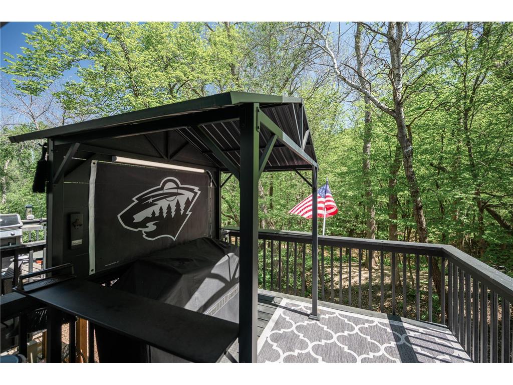 441 Pleasant Lane Chaska MN 55318 7074421 image14