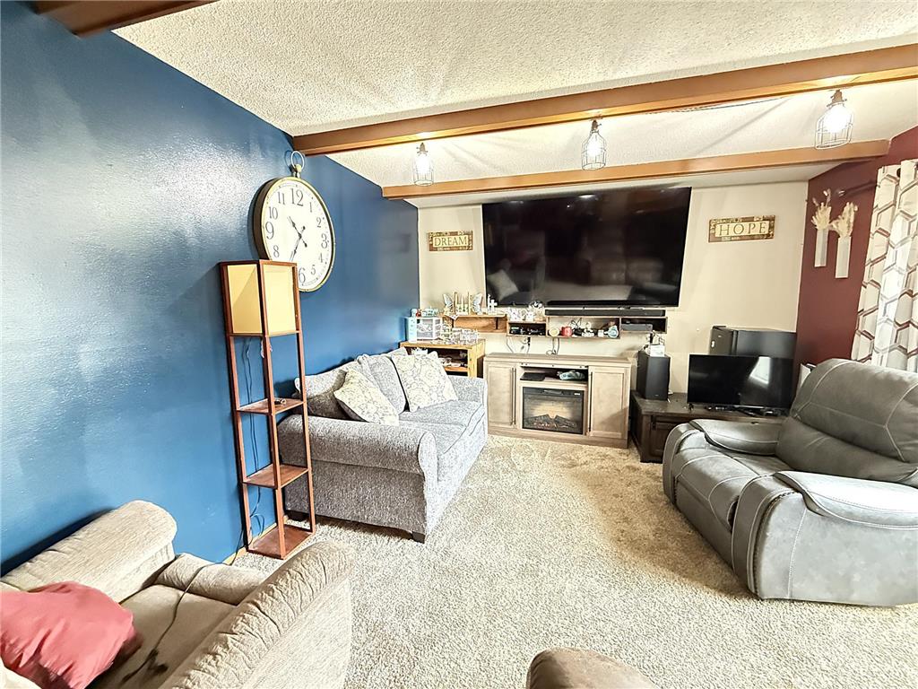 441 S Haven Street Appleton MN 56208 7061087 image4