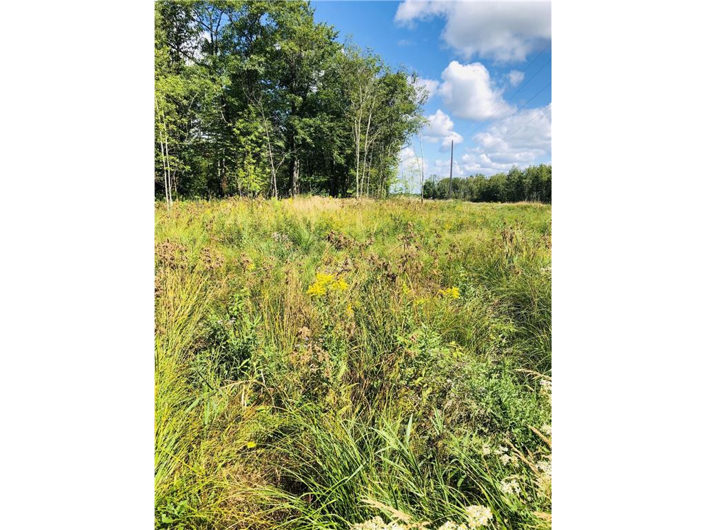 44131 Nature Avenue Fleming Twp MN 56469 7068401 image13