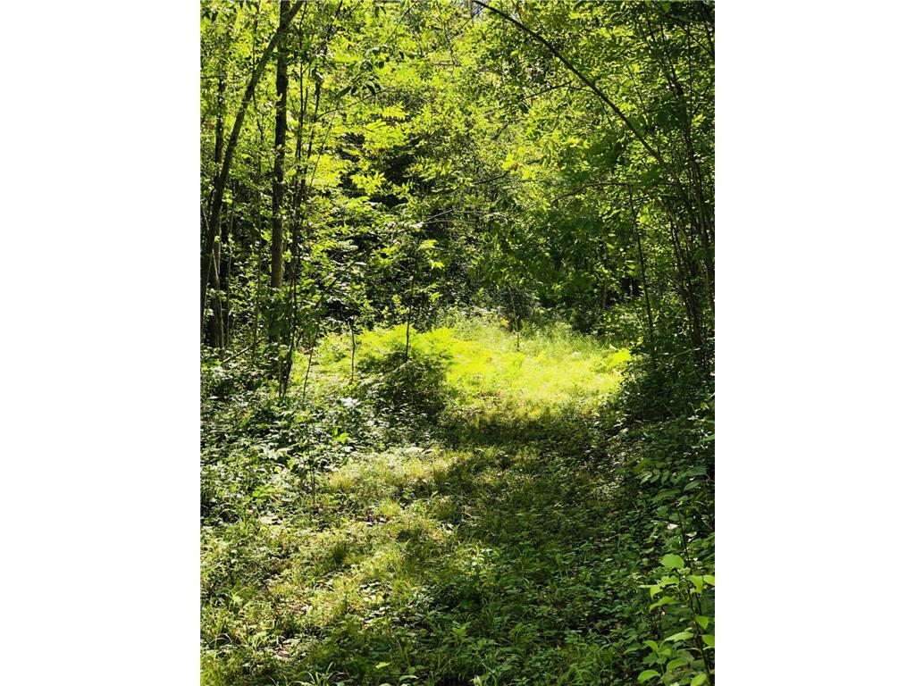 44131 Nature Avenue Fleming Twp MN 56469 7068401 image15