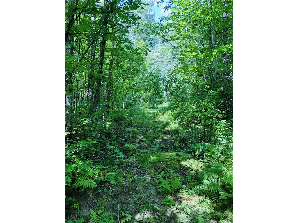 44131 Nature Avenue Fleming Twp MN 56469 7068401 image16