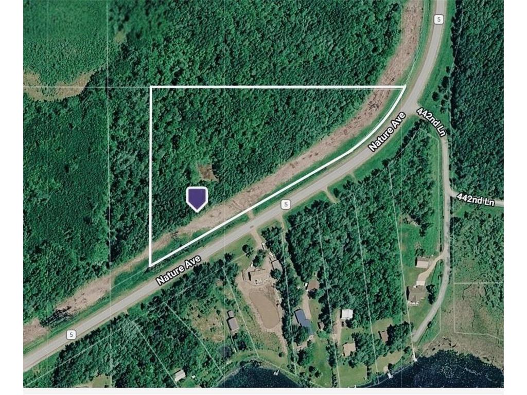 44131 Nature Avenue Fleming Twp MN 56469 7068401 image2