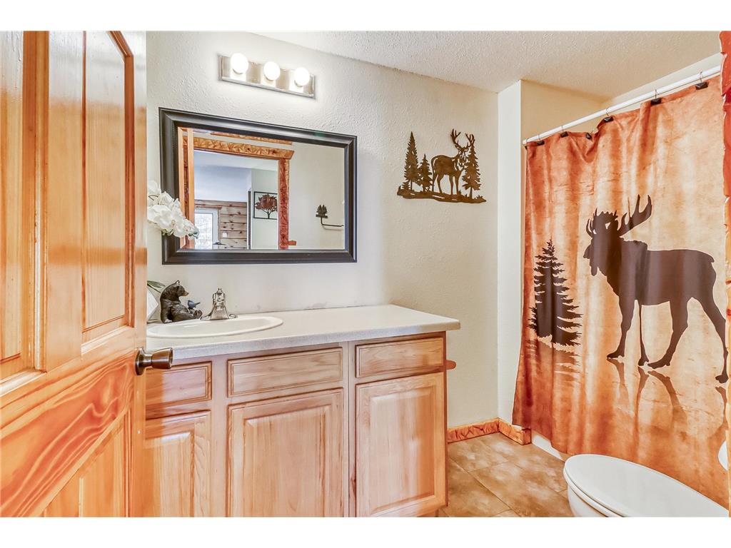 44148 Ida's Road Osage MN 56570 - Shell 7034368 image51