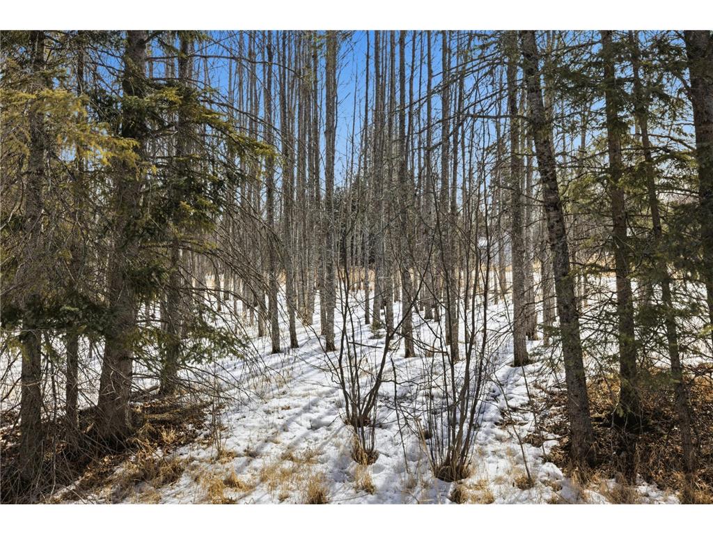 4416 County Road 1 Littlefork MN 56653 - Big Fork River 7027586 image23