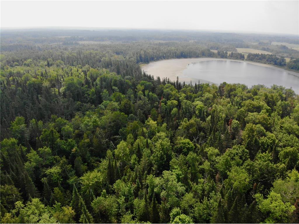 44192 Pioneer Road Windemere Twp MN 55783 - Thirteen 6689830 image1