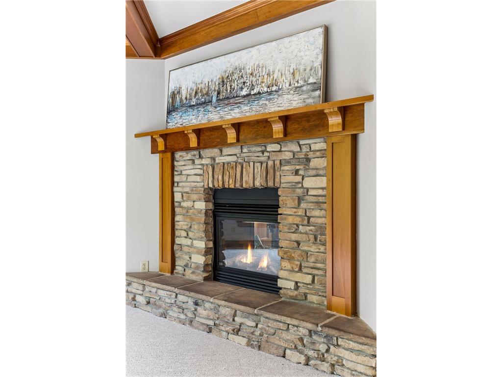 4420 Morning Dove Avenue N Stillwater MN 55082 6795945 image49