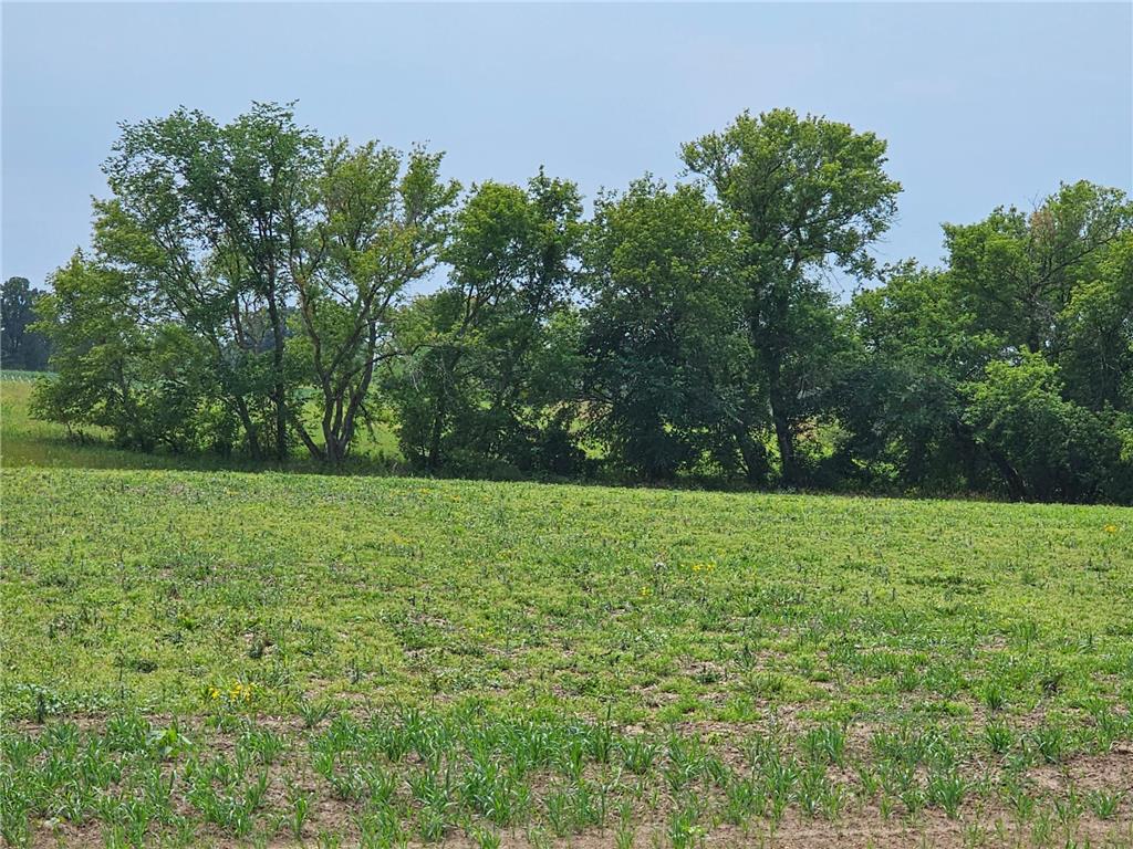 4421 Pagenhart Road SW Rochester MN 55902 6404556 image2
