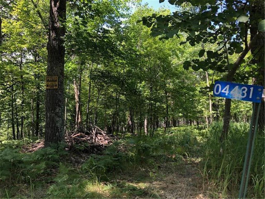 4431 28th Avenue NW, Hackensack, MN, 56452 MLS 6505363 Edina Realty