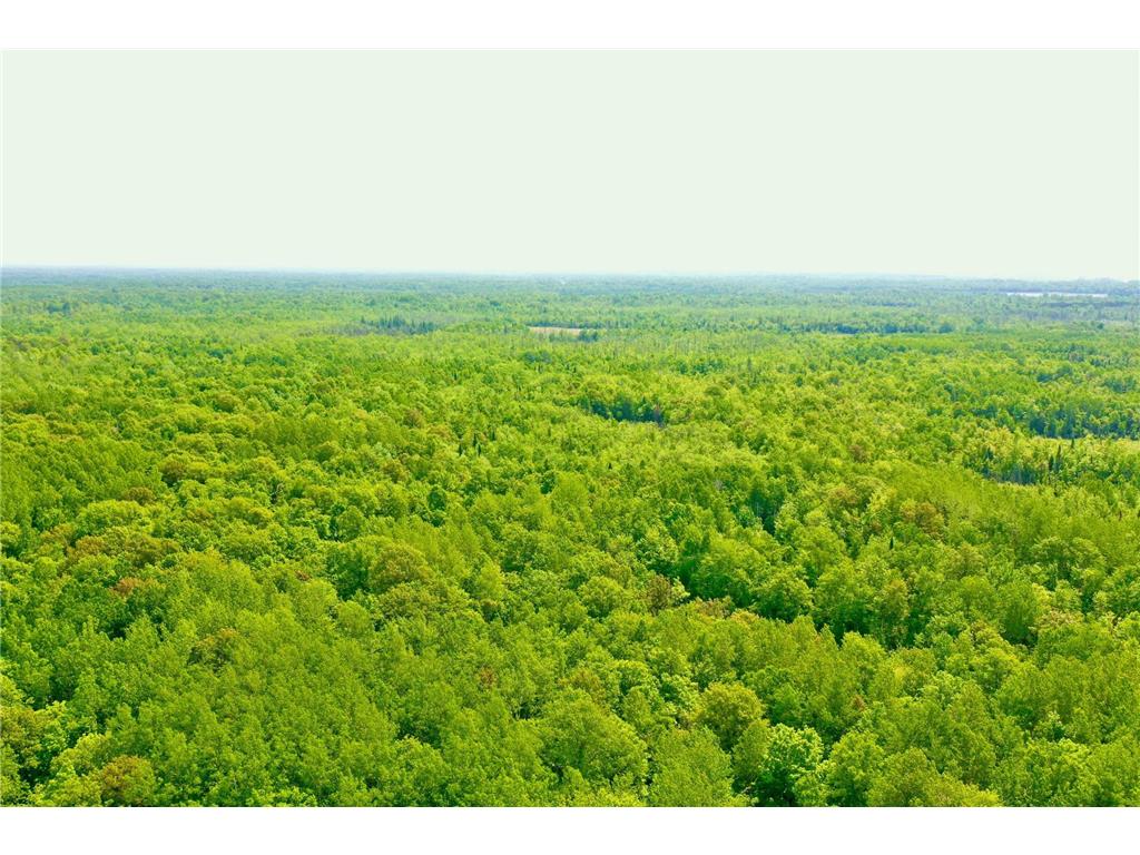 44384 Grace Lake Road Ogema Twp MN 55037 - Keene 6777254 image14