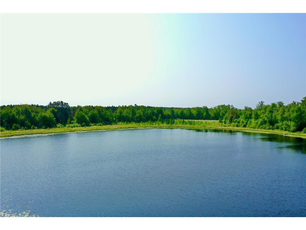 44384 Grace Lake Road Ogema Twp MN 55037 - Keene 6777254 image5