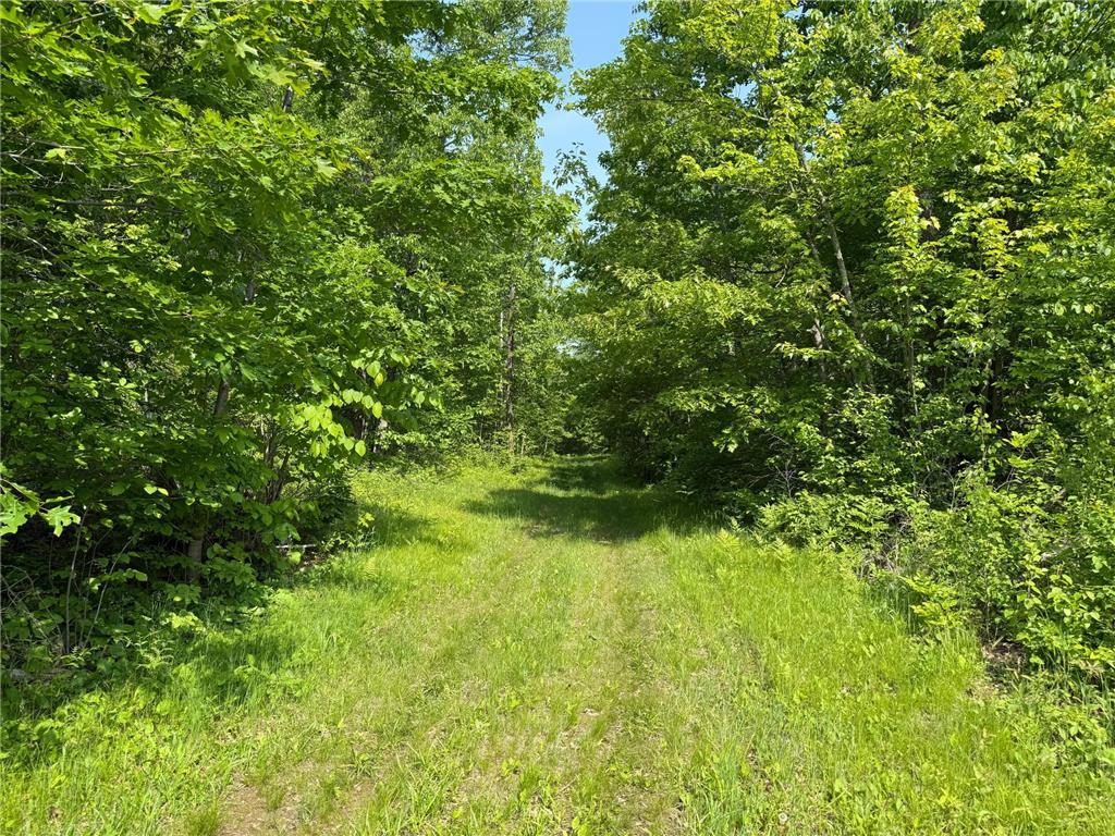 44384 Grace Lake Road Ogema Twp MN 55037 - Keene 6777254 image50