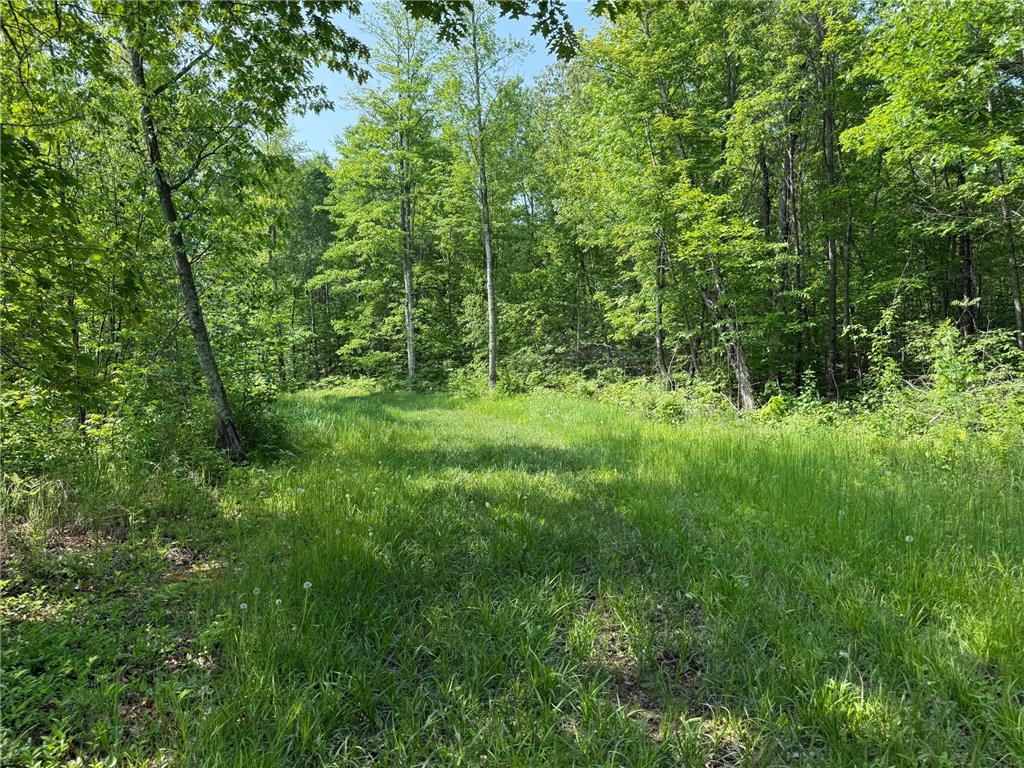 44384 Grace Lake Road Ogema Twp MN 55037 - Keene 6777254 image53