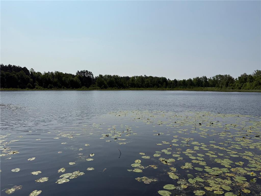 44384 Grace Lake Road Ogema Twp MN 55037 - Keene 6777254 image57