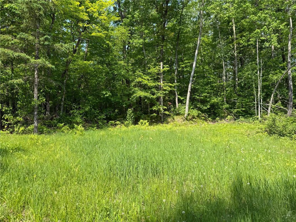 44384 Grace Lake Road Ogema Twp MN 55037 - Keene 6777254 image59