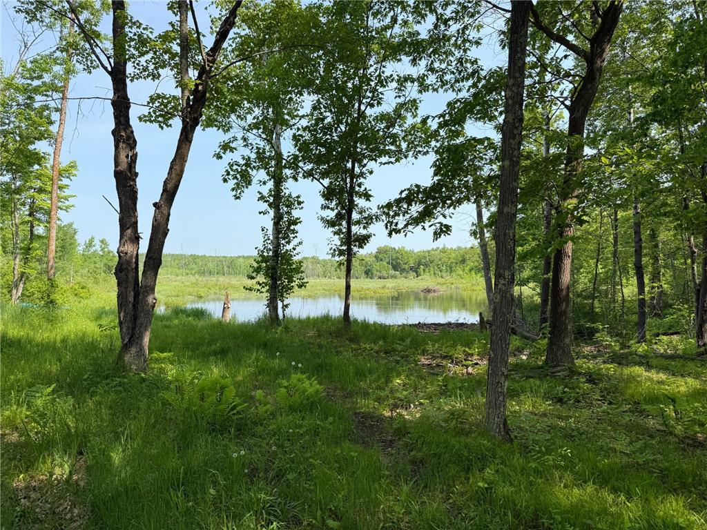 44384 Grace Lake Road Ogema Twp MN 55037 - Keene 6777254 image61