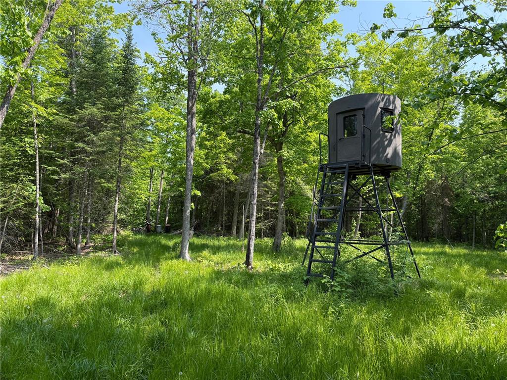 44384 Grace Lake Road Ogema Twp MN 55037 - Keene 6777254 image63