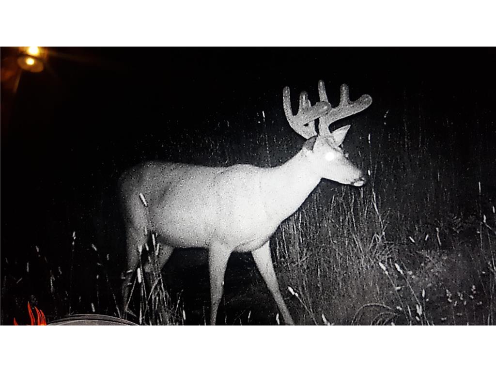 44384 Grace Lake Road Ogema Twp MN 55037 - Keene 6777254 image68