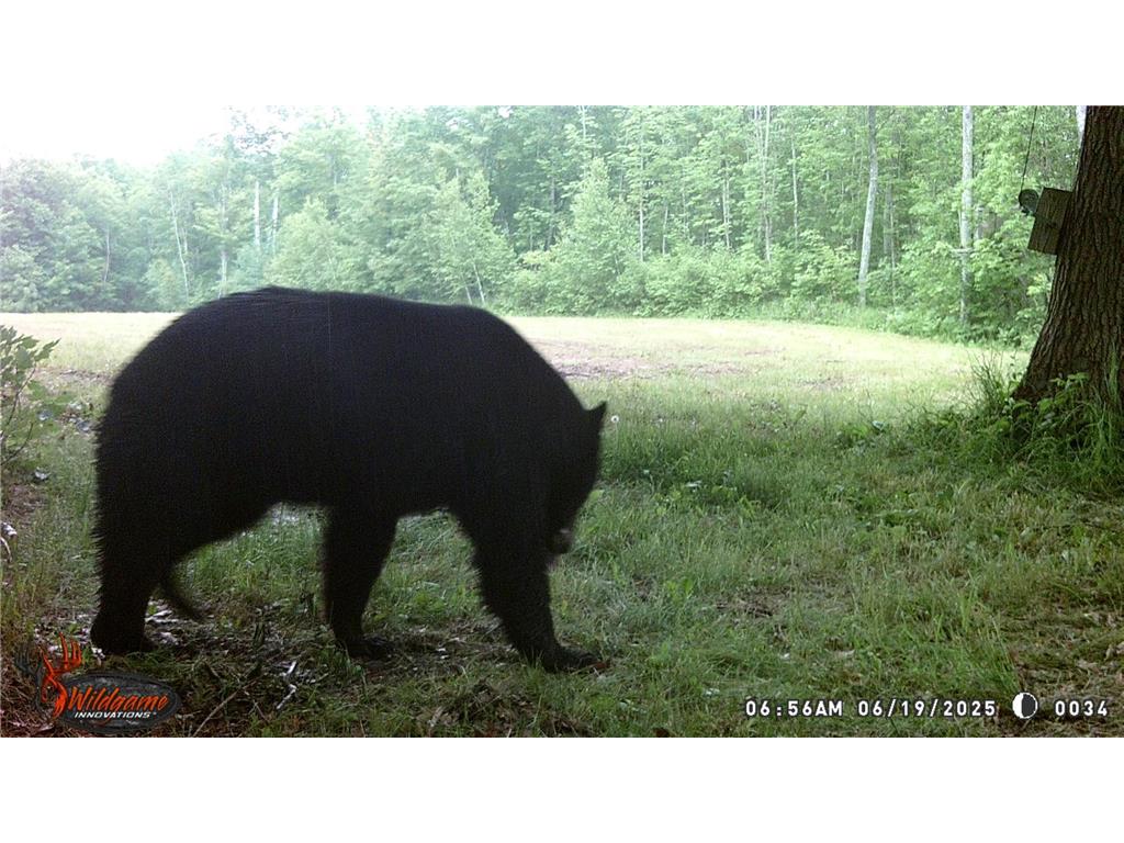 44384 Grace Lake Road Ogema Twp MN 55037 - Keene 6777254 image70