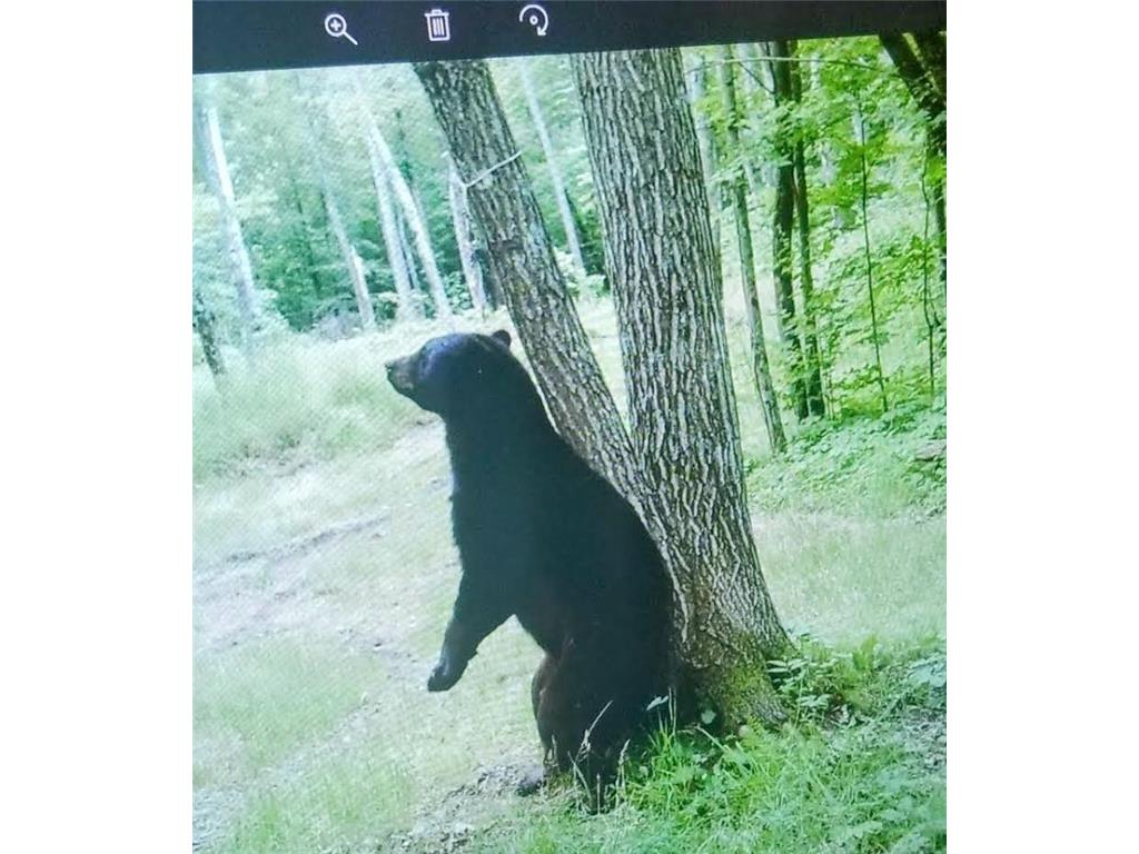 44384 Grace Lake Road Ogema Twp MN 55037 - Keene 6777254 image71