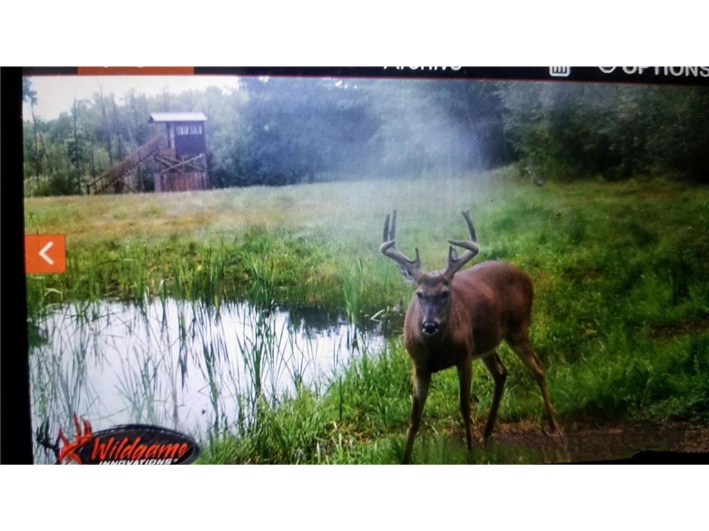 44384 Grace Lake Road Ogema Twp MN 55037 - Keene 6777254 image72